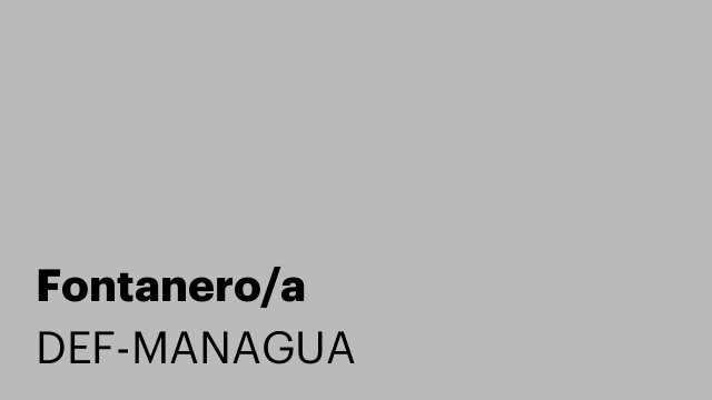 Fontanero/a