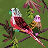 Miriam F. avatar icon
