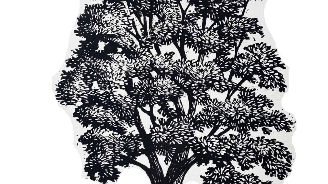 Royal Oak cover image