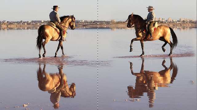Camarero/a de Restaurante