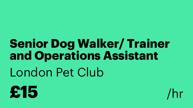 Senior Dog Walker/ Trainer and Operations Assistant