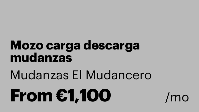 Mozo carga descarga mudanzas