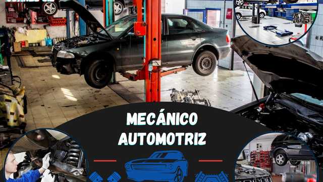 Mecánico/a