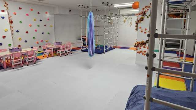 Occupational Therapist (W-2 Employee or 1099 Independent Contractor)