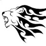 Syed A. avatar icon