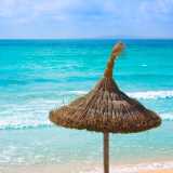 Flor los Almendros H. avatar icon