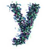 Yossi T. avatar icon