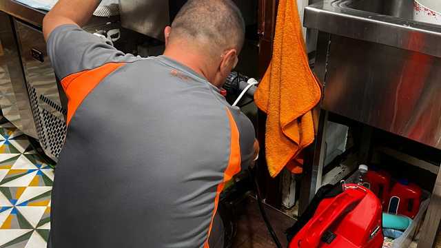 Técnico/a en Control de Plagas