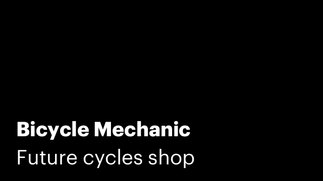 Bicycle Mechanic