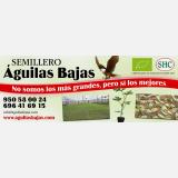 Semillero Aguilas Bajas S. avatar icon