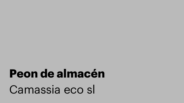 Peon de almacén