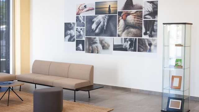 OPERADOR DE CREMATORIO DE MASCOTAS