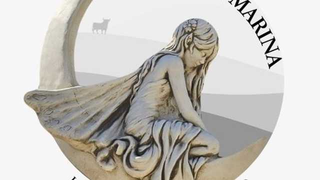 Ayudante de Camarero/a