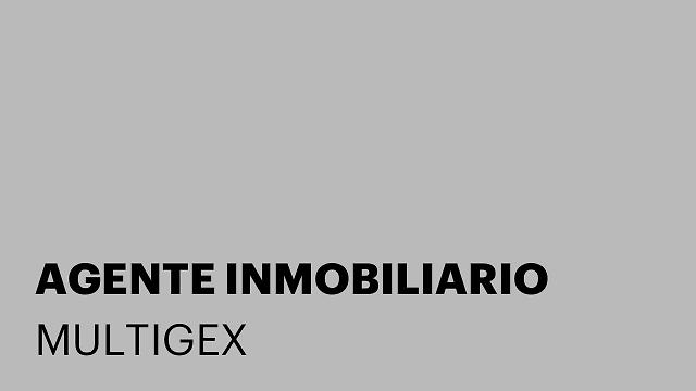AGENTE INMOBILIARIO