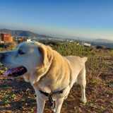 Yurena L. avatar icon