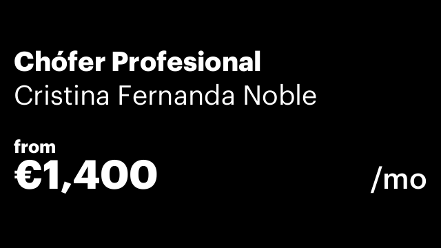 Chófer Profesional