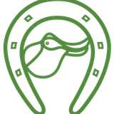 marjomansaddle  avatar icon