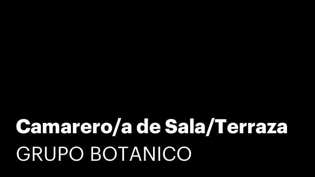 Camarero/a de Sala/Terraza