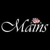 Mains logo