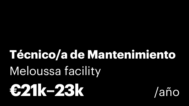 Técnico/a de Mantenimiento
