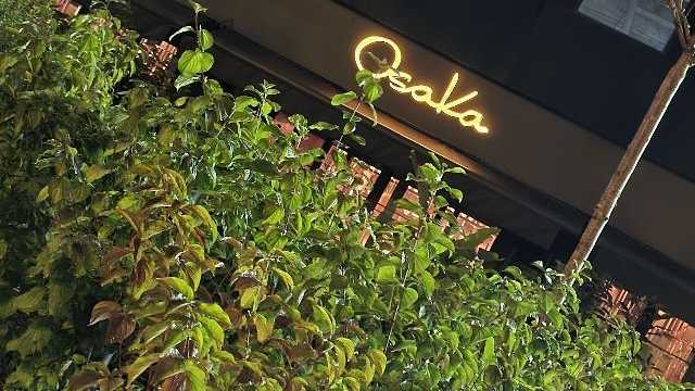 Camarero/a de Restaurante