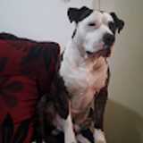 Ricardo P. avatar icon