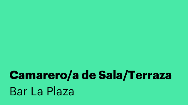 Camarero/a de Sala/Terraza