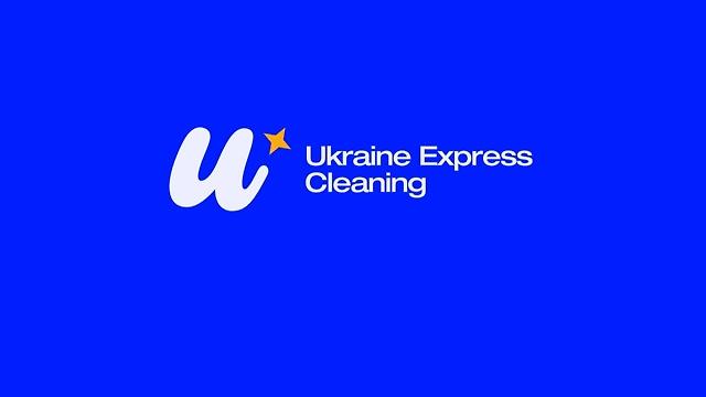 Domestic Cleaner