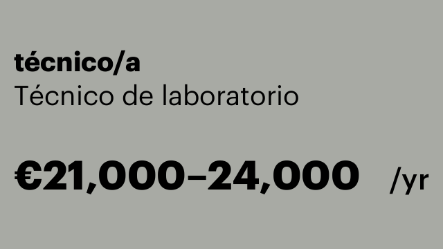 técnico/a