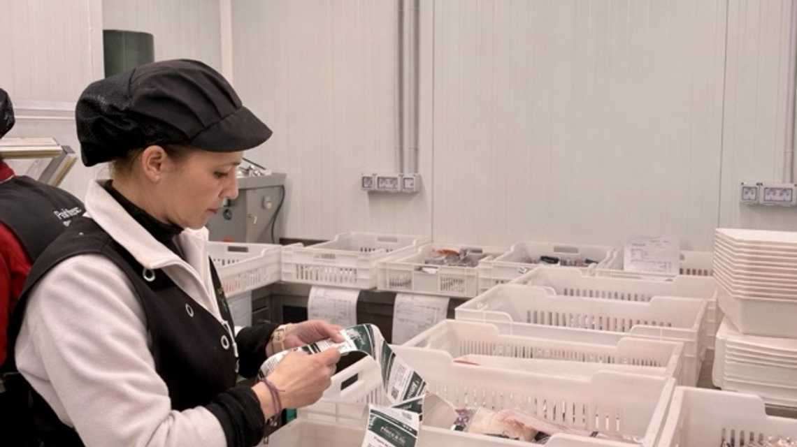 PESCO&GO | Pescadería cover image