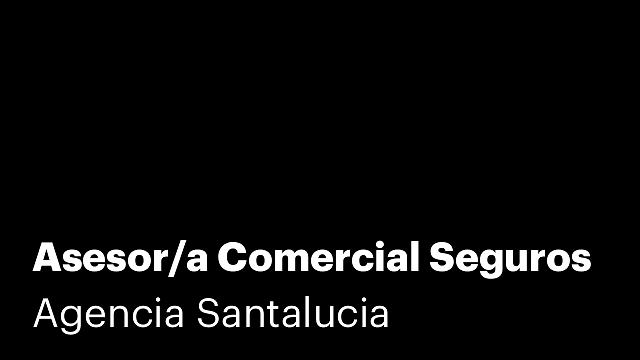 Asesor/a Comercial Seguros