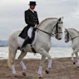 Andres F. avatar icon