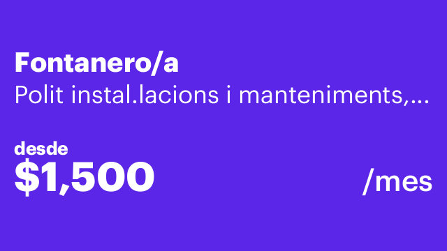 Fontanero/a