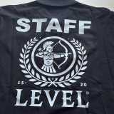 Level SCA logo