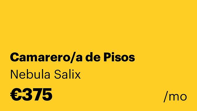 Camarero/a de Pisos