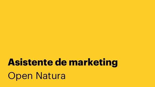 Asistente de marketing
