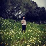 Yaoyao C. avatar icon