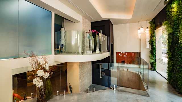 Higienista Dental