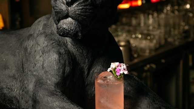 Camarero/a y Coctelero/a