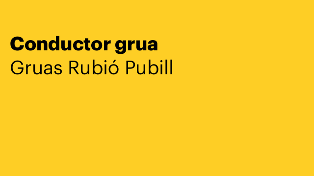 Conductor grua