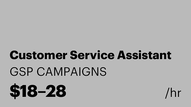 Customer Service Assistant