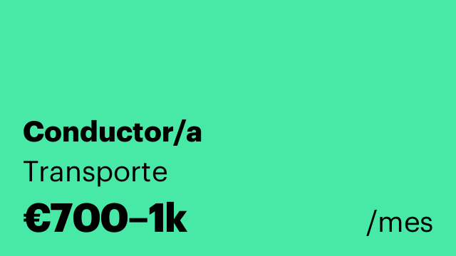 Conductor/a