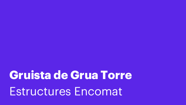 Gruista de Grua Torre