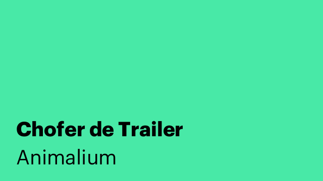 Chofer de Trailer