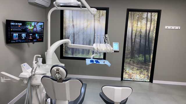 Higienista Dental