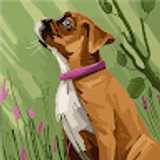 LUCAS G. avatar icon