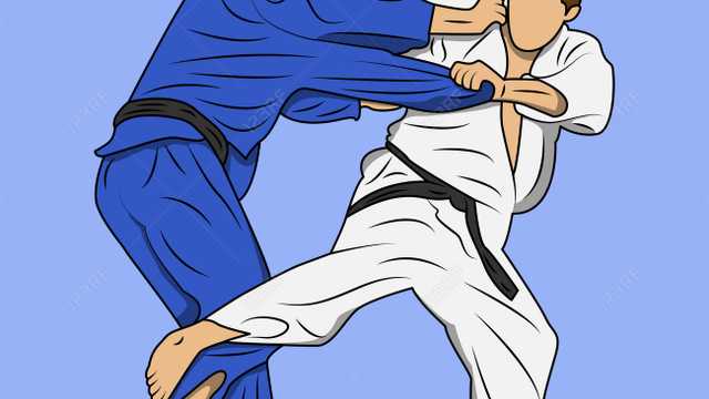 MONITOR DE JUDO