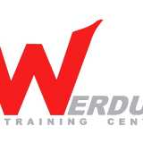 Werdum Training Center Zaragoza logo