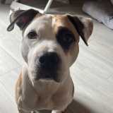 Miguel D. avatar icon