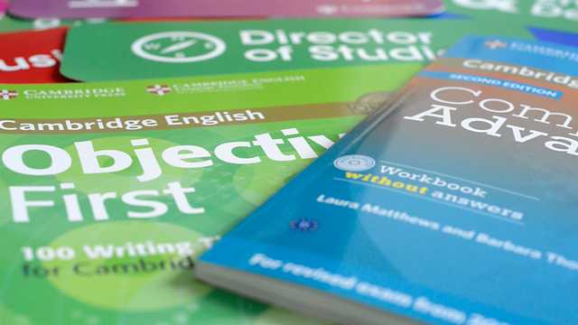 Profesor/a de Inglés